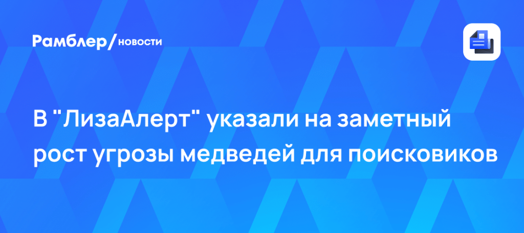 Хищники в лесах: угроза медведей для поисковиков выросла 🐻⚠️ — лизаалерт григорий сергеев