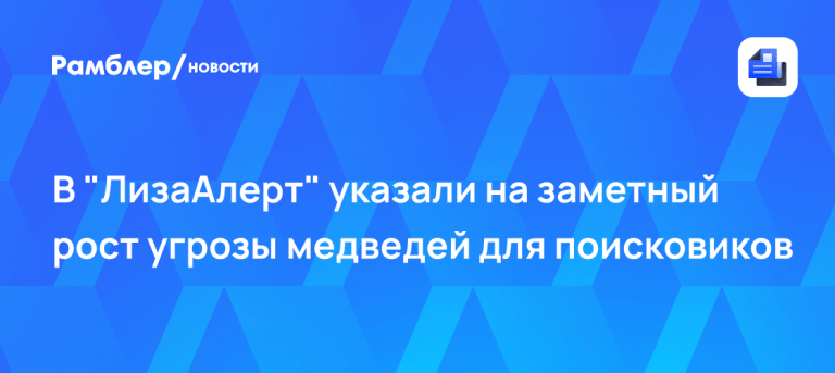 Хищники в лесах: угроза медведей для поисковиков выросла 🐻⚠️ — лизаалерт григорий сергеев