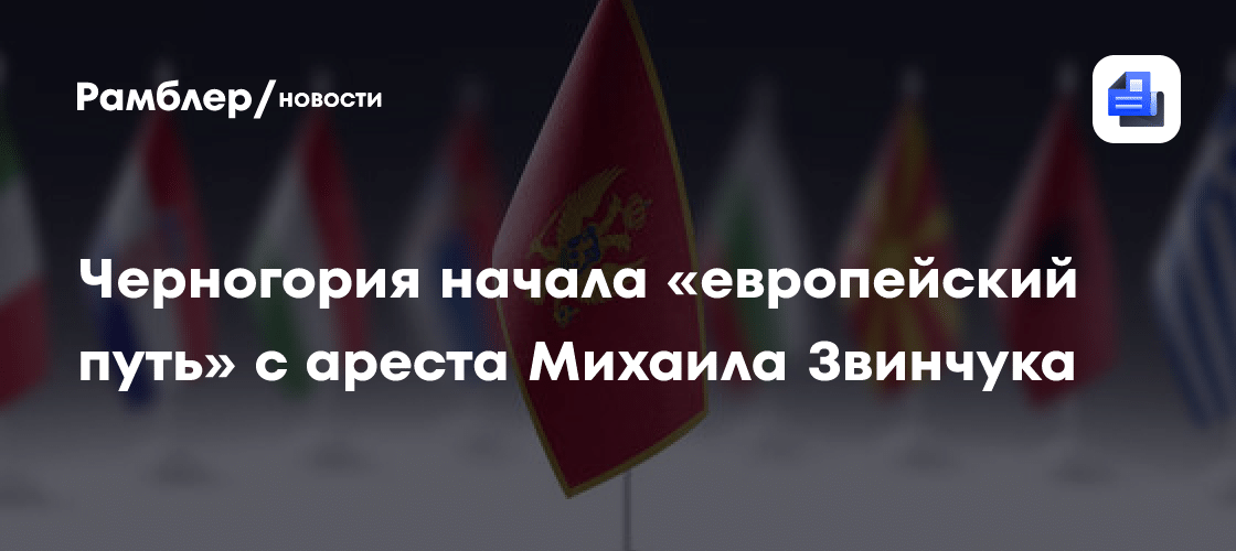 Михаил Звинчук и «Рыбарь» выдворены из Черногории: финал драмы ✈️⚡ — михаил звинчук рыбарь задержание в черногории