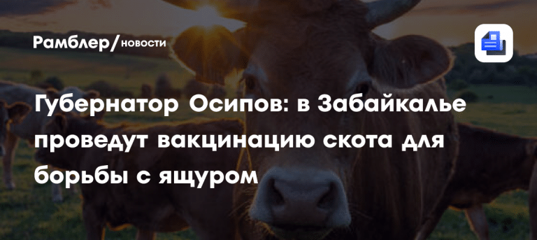 Угроза ящура в Забайкалье: введен режим тревоги 🚨🐂 — режим повышенной готовности в забайкалье