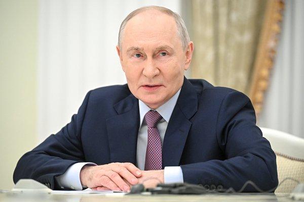 Белка выпала из гнезда что делать: сезон осадков в Москве 🐿️ — беличьи осадки москва