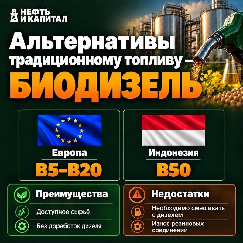 Альтернативные источники энергии вместо нефти 🛢️⚡ — нефть и капитал