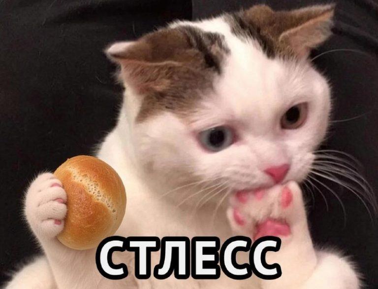 Спрос на торты взлетел на 61%: как мозг ищет дофамин осенью 🍰🧠 — почему хочется сладкого осенью