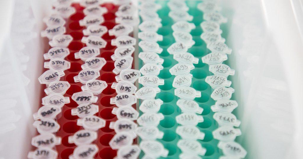 Минздрав одобрил «Нимоланцим» против рака мозга и пищевода 🧬💊 — нимоланцим препарат минздрав регистрация