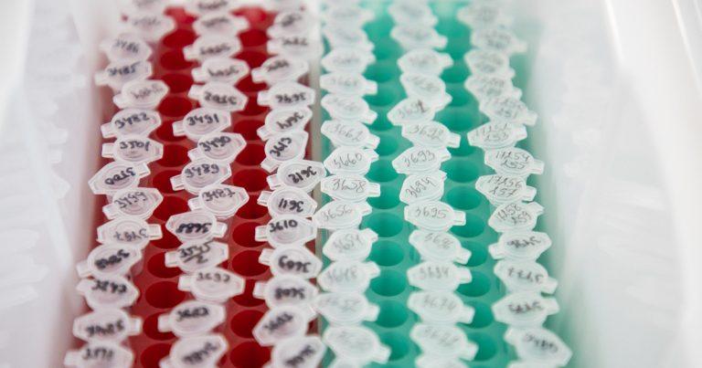 Минздрав одобрил «Нимоланцим» против рака мозга и пищевода 🧬💊 — нимоланцим препарат минздрав регистрация