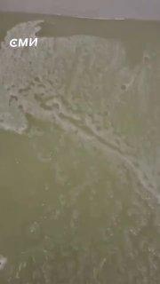 Жирная пена из крана: Тюмень накрыл новый водный кризис 🚰🤢 — почему из крана в тюмени течет жирная вода