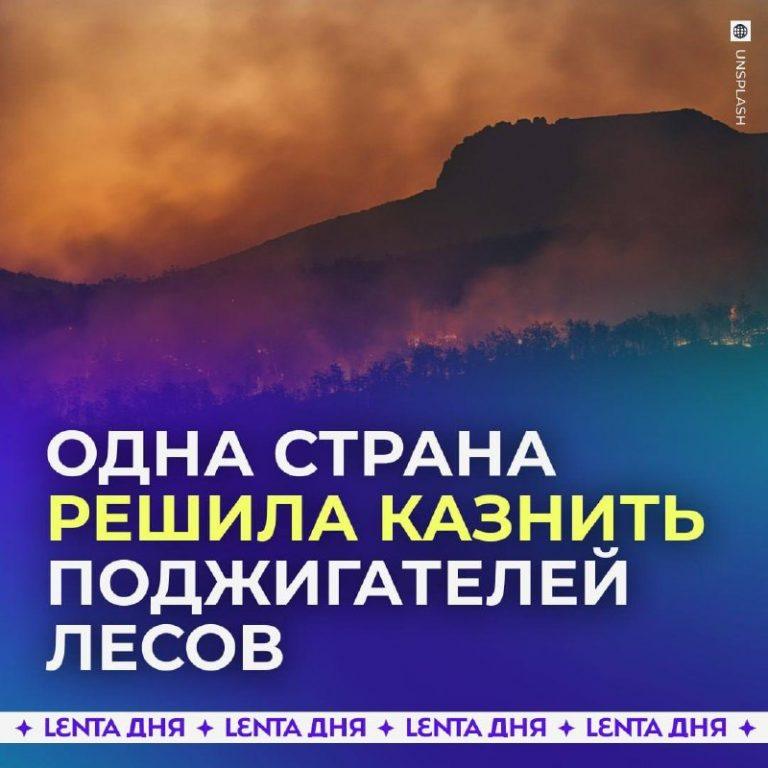 Алжир вводит смертную казнь за поджог лесов 🔥⚖️ — смертная казнь за поджог леса в алжире