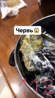 Червяк в Моремании: живой сюрприз в тарелке 🪱🤢 — моремания черви в еде