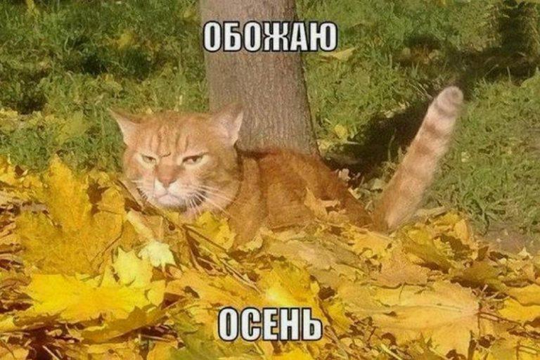 Продукты от осенней депрессии: что включить в рацион 🍌🍫🧀 — серотонин
