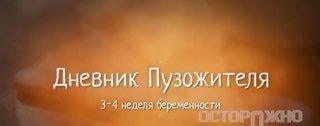 ИИ-сериал «Дневник Пузожителя»: от эмбриона до закона 🤖👶 — дневник пузожителя ии сериал
