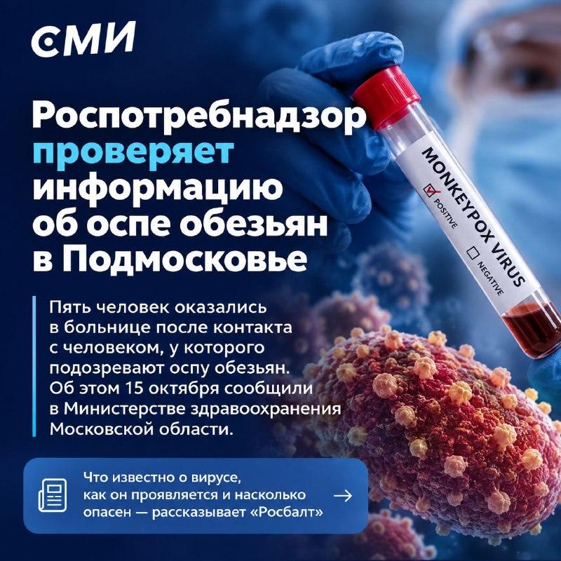 Оспа обезьян в России 2024: проверка анализов и цифры 🦠📈 — оспа обезьян петербург
