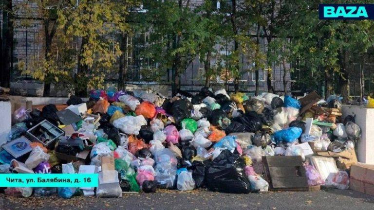Мусорные операторы банкротятся и тонут в долгах 🗑️📉 — жалобы на мусорщиков 2026