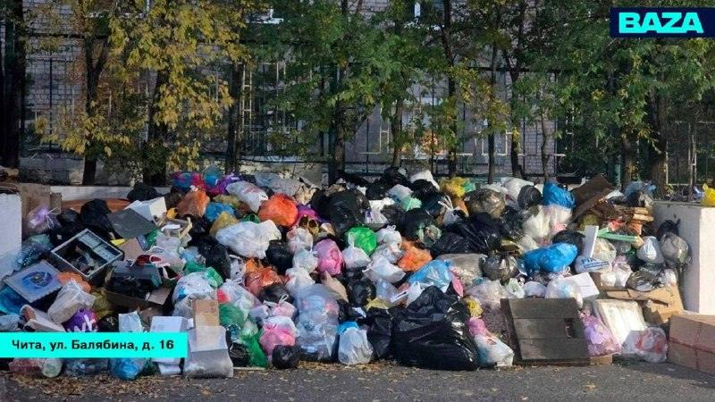 Мусорные операторы банкротятся и тонут в долгах 🗑️📉 — жалобы на мусорщиков 2026