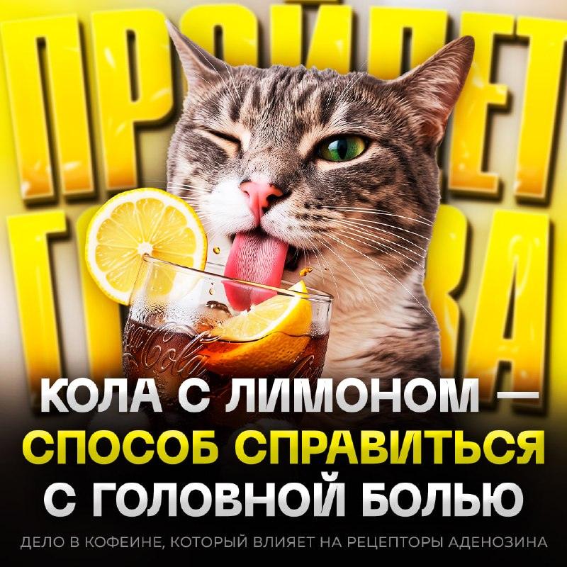 Кола с лимоном от головной боли: врачи раскрыли риски тренда 🥤🍋 — кола от мигрени