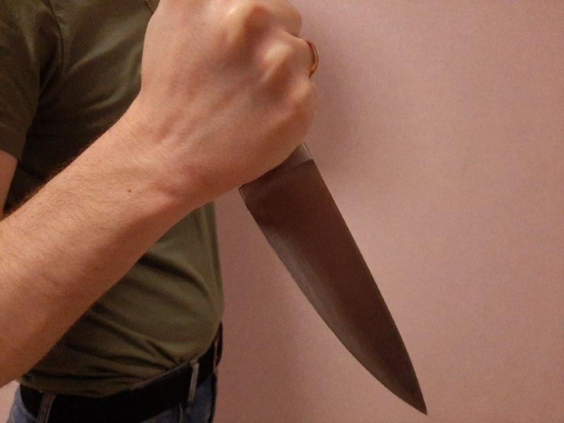 В Курской области мужчина ранил ножом сожительницу и дочь 🚨⚡ — пристенский район