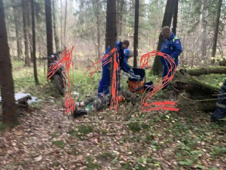Роковое дерево убило мотоциклиста под Чеховом 🌲💀 — под чеховом дерево упало на мотоциклиста