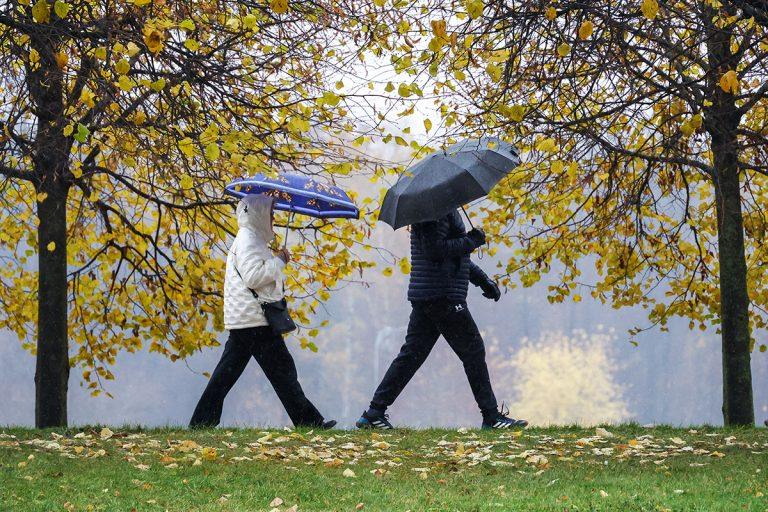 Ливень в Москве завтра смоет остатки тепла до 10 мм осадков 🌧️⚡ — погода москва 14 октября