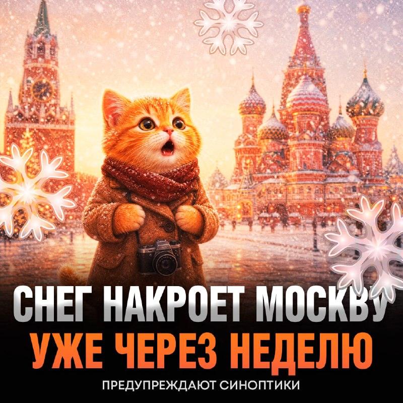 Первый снег в Москве: готовим пуховики ❄️🧥 — погода в москве первый снег