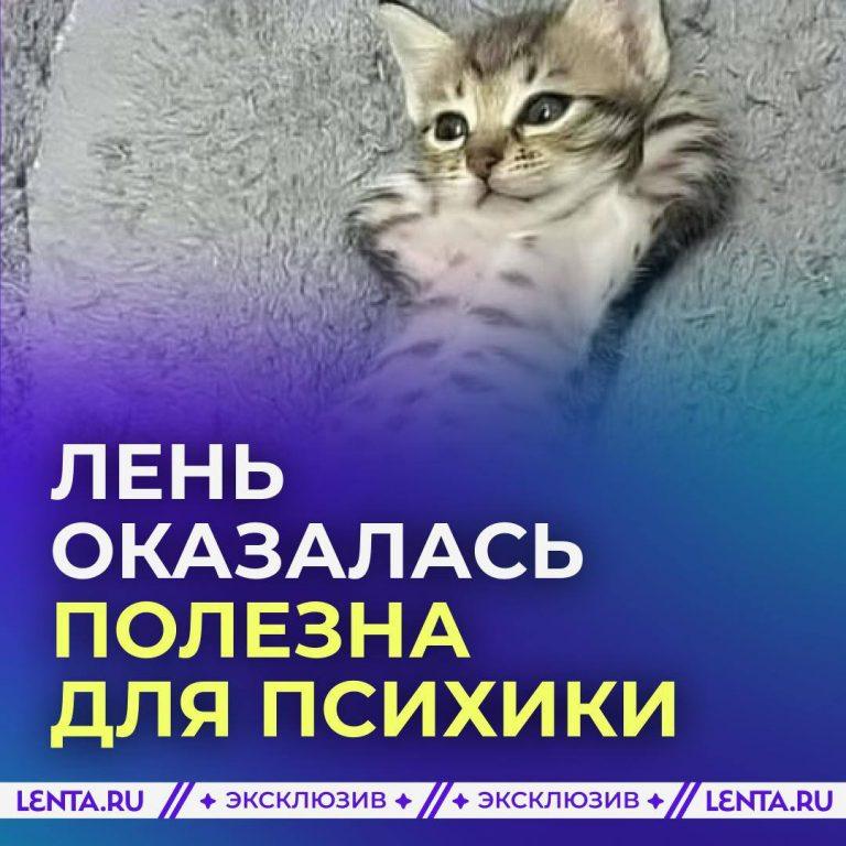 Крашкина объяснила пользу лени для мозга и нервной системы 🧠⚡ — почему полезно лениться для здоровья
