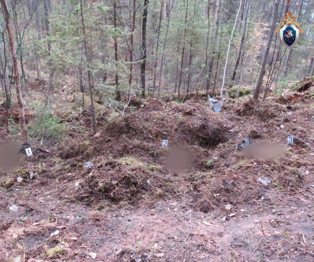 Хищник открыл охоту: смертельное нападение в тайге 🐻⚠️ — нападение медведя в нижнеилимском районе