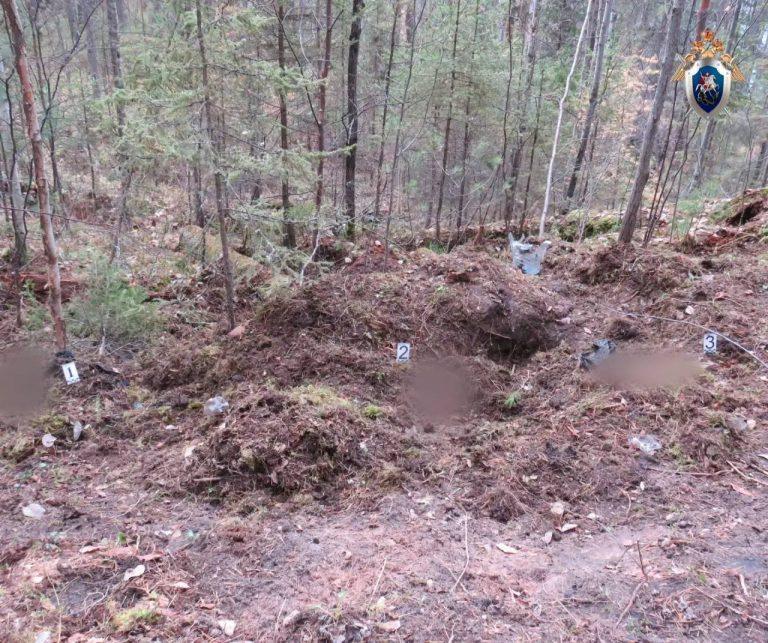 Хищник открыл охоту: смертельное нападение в тайге 🐻⚠️ — нападение медведя в нижнеилимском районе