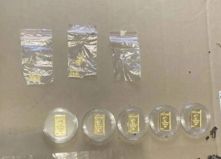 Домработница вскрыла сейф и вынесла золото москвички 💰⚡ — домработница украла слитки золота у москвички