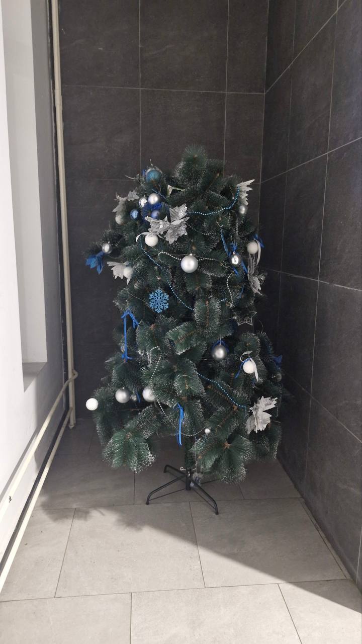 Когда в Москве ставят новогодние елки: город уже готовят 🎄⚡ — новогодние елки в москве