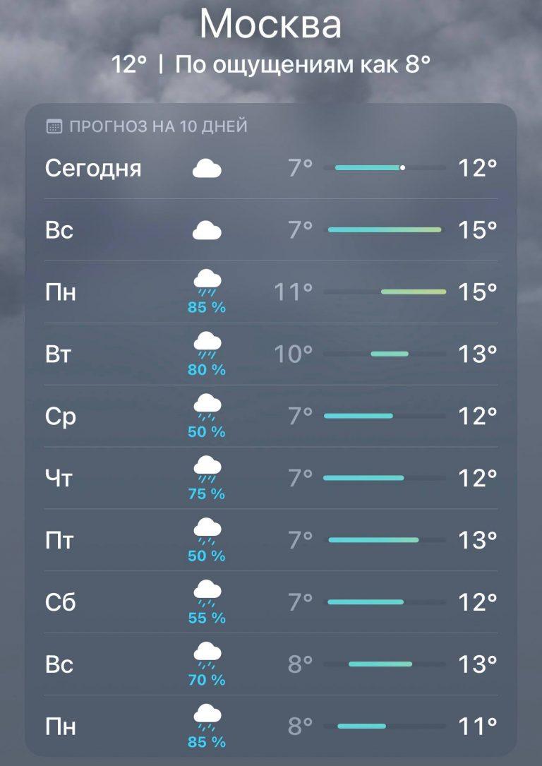 Дожди затопят Москву: синоптики дали прогноз на неделю 🌧️⚡ — погода в москве на неделю