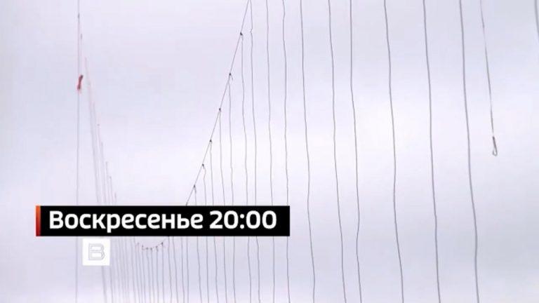 Аэростаты для защиты НПЗ от дронов: возвращение тактики 1941 года 🎈🛡️ — защита нпз от беспилотников