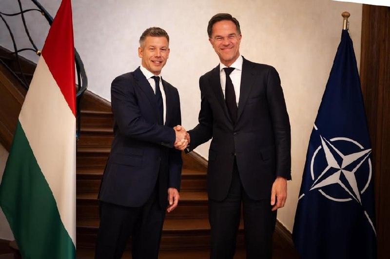 Венгрия закрыла границу для оружия Киеву: транзит под запретом 🚫🇭🇺 — венгрия не будет поставлять оружие украине