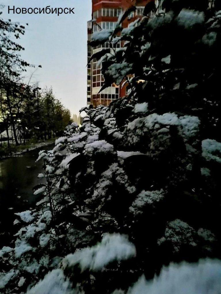 Зима пришла в регионы: Сибирь и Бурятия встретили снег ❄️🌨️ — погода в новосибирске первый снег зима