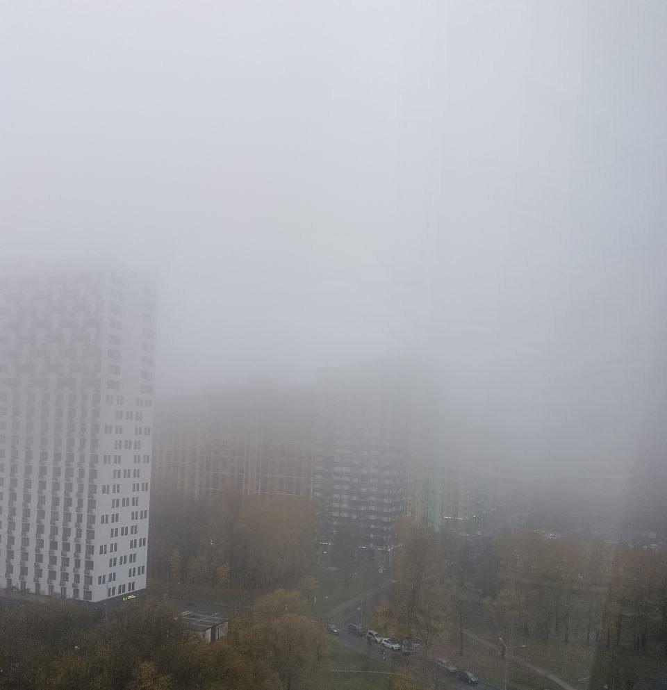 Густой туман в Москве: что скрывает утренняя пелена 🌫️⚡ — туман в москве сегодня