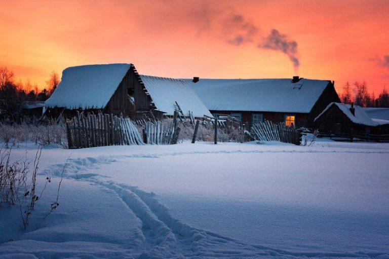 Медведи выживают людей из сибирских деревень: целые села опустели 🐻🌲 — набеги медведей сибири