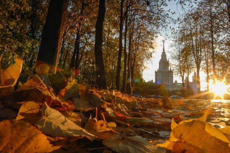 Москва побила аномальный рекорд тепла: плюс 17°C на термометрах 🌡️🔥 — погода в москве сегодня