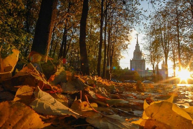 Москва побила аномальный рекорд тепла: плюс 17°C на термометрах 🌡️🔥 — погода в москве сегодня