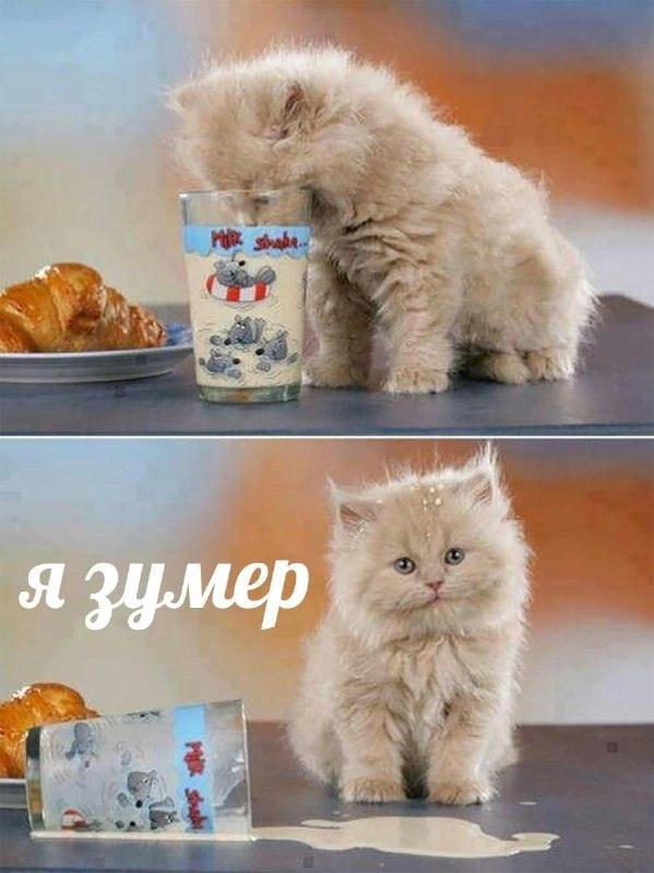 Зумеры в Москве штурмуют полосу препятствий ради стакана воды 🥤⚡ — зумеры в москве курсы стакан воды