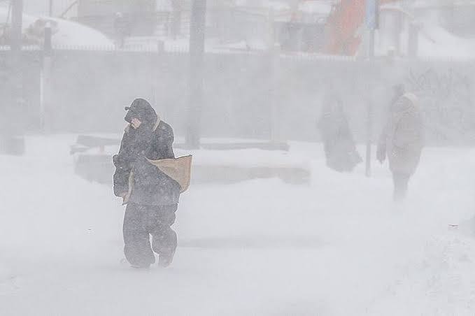 Первый снег в Москве откладывается: прогноз Леуса 🌨️⚡ — первый снег москве