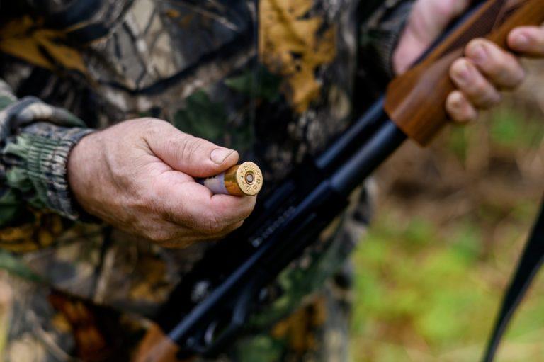 Медведь задрал охотника в тайге под Пинегой 🌲🚨 — медведь убил мужчину архангельская область